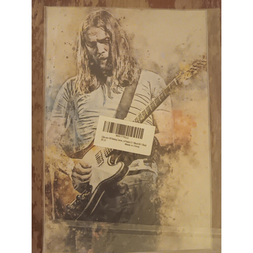 canvas wall art 12in X 8in